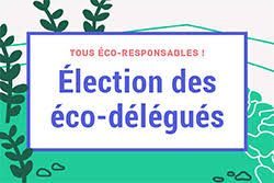 Un élève par classe élu ECO-DÉLÉGUÉ cette année