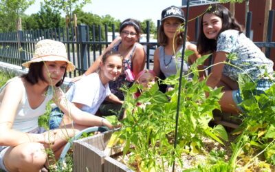 Une belle année de lancement pour l’Atelier Nature & Jardin !