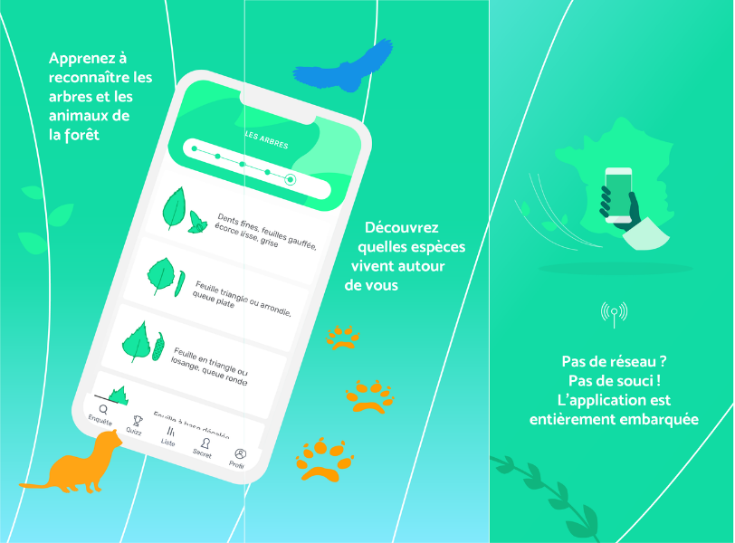 Une appli pour en apprendre plus sur la forêt quand tu te ballades ….