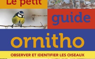 Des élèves rencontrent la LPO (Ligue de Protection des Oiseaux)