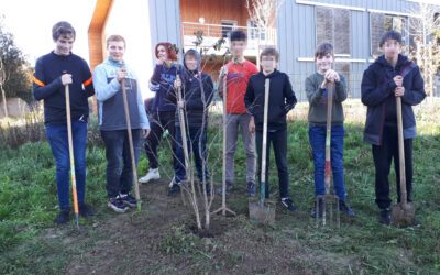 Des élèves ont planté 2 arbres dans la cour du collège