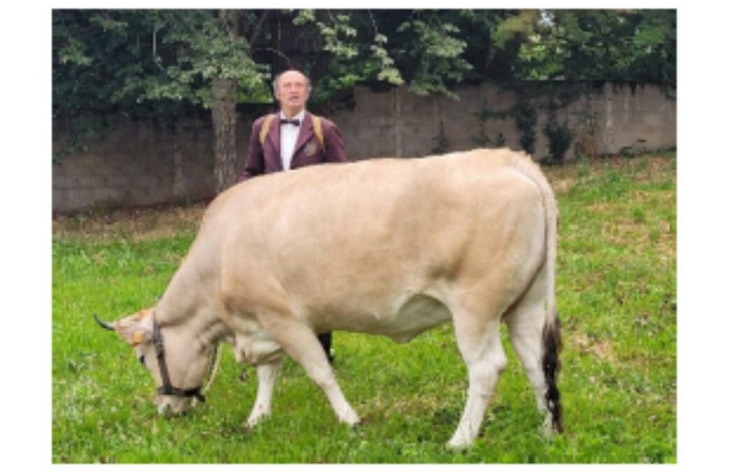 Visite de la vache PICOTA et Robert : 14 juin 2024