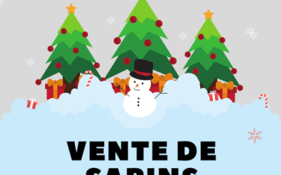 Vente de sapins Noël 2024