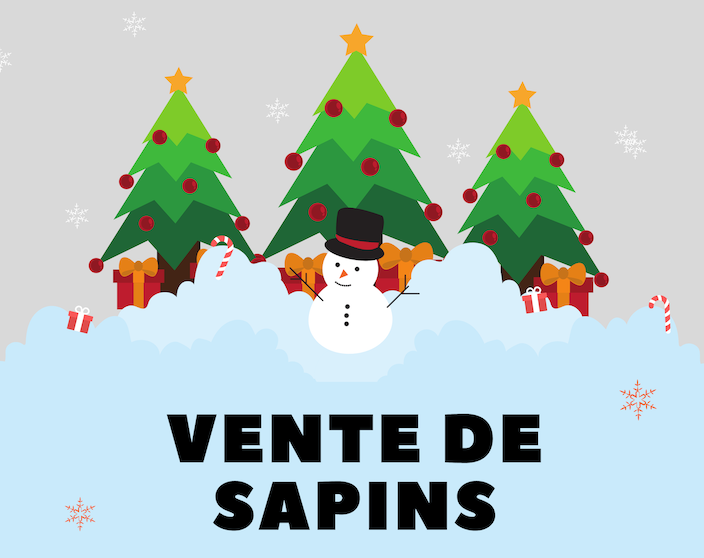 Vente de sapins Noël 2024